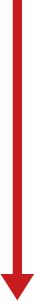 Flecha