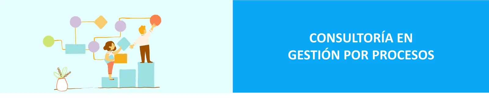 Consultoría en Gestión por Procesos
