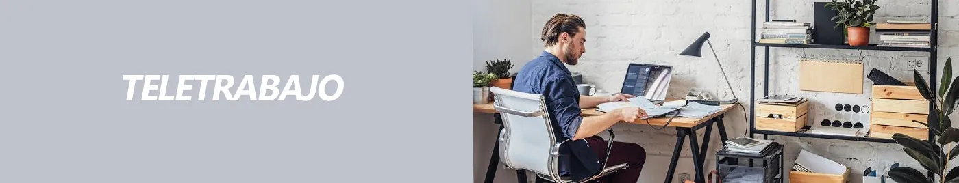 Software de Teletrabajo
